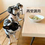 【再受講用】POMC中医薬膳オンラインスクール基礎コース