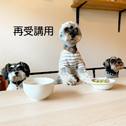 再受講用【応用コース】中医薬膳オンラインスクール