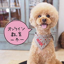 録画・わんこ薬膳ごはん冬【オンライン開催日11/28】